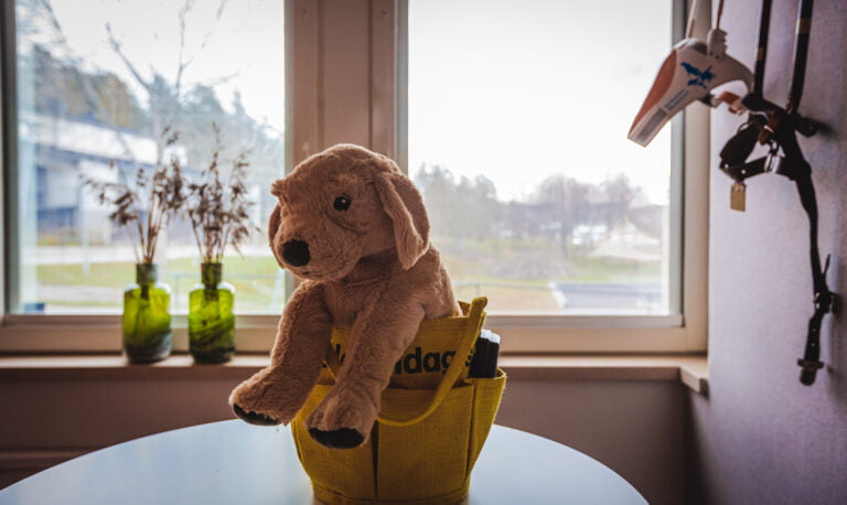 Konferenslokalen Ledarhunden