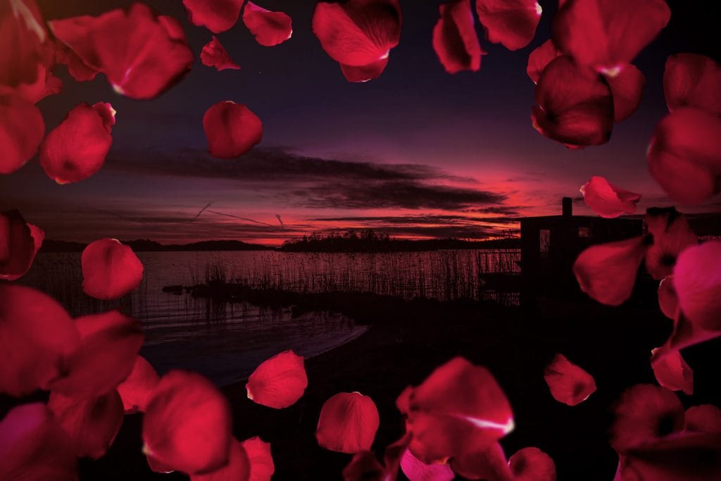 Alla Hjärtans Weekend